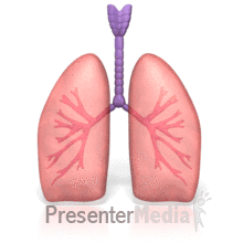 lung cartoon